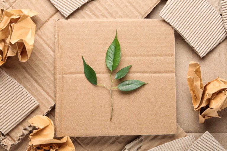 9 Eco-Friendly Packaging Materials