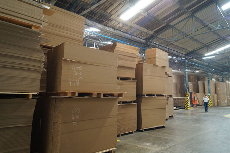 Why are Cardboard Boxes Expensive for Packaging in 2024?